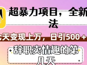辞职卖情趣7天赚上万：日引500粉暴利项目新玩法揭秘-54创业网