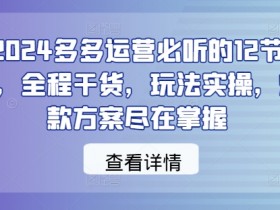 2024拼多多运营12节爆款实操课：干货玩法+爆款方案全掌握-54创业网
