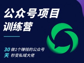 30天打造赚钱公众号：公众号项目训练营，秒变私域流量大佬-54创业网